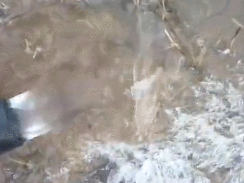 राजस्थान में कड़ाके की ठंड जारी है। सीकर में पाइप में पानी जम गया।