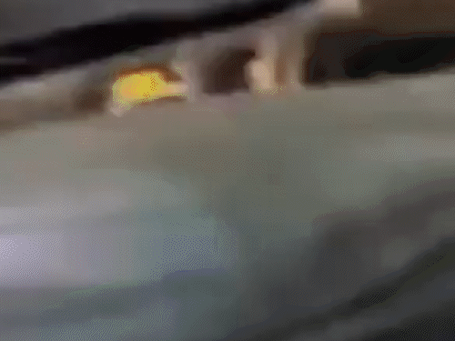 तस्वीर ईरान में जारी प्रदर्शन में मारे गए लोगों के शवों की है। (इमेज क्रेडिट- मसीह अलाइनजाद)