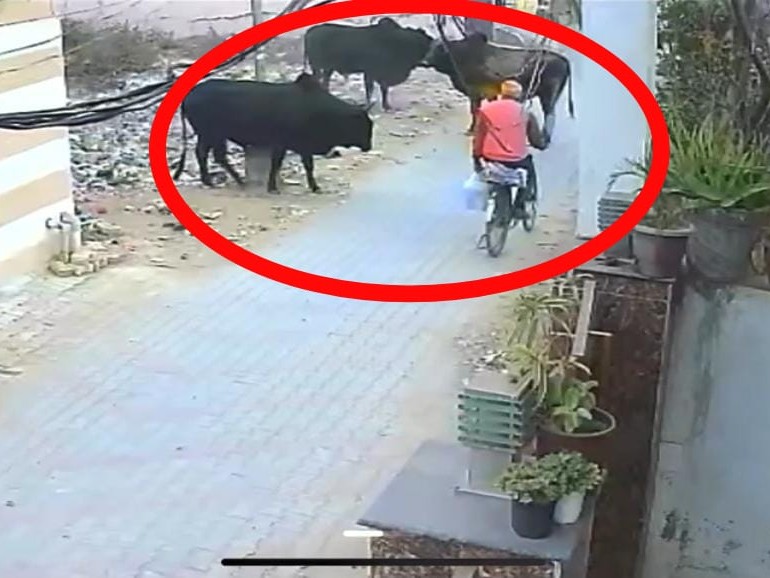 हादसे के दौरान का सीसीटीवी फुटेज।