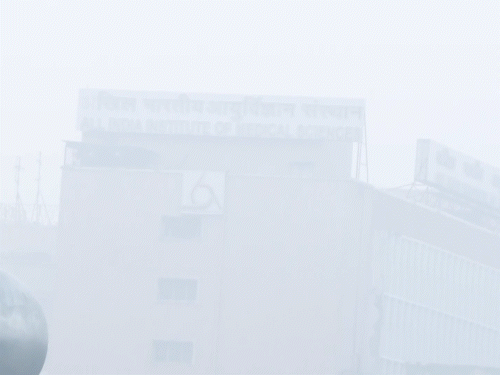 दिल्ली में रविवार को कड़ाके की ठंड रही, इस दौरान घना कोहरा भी छाया रहा।