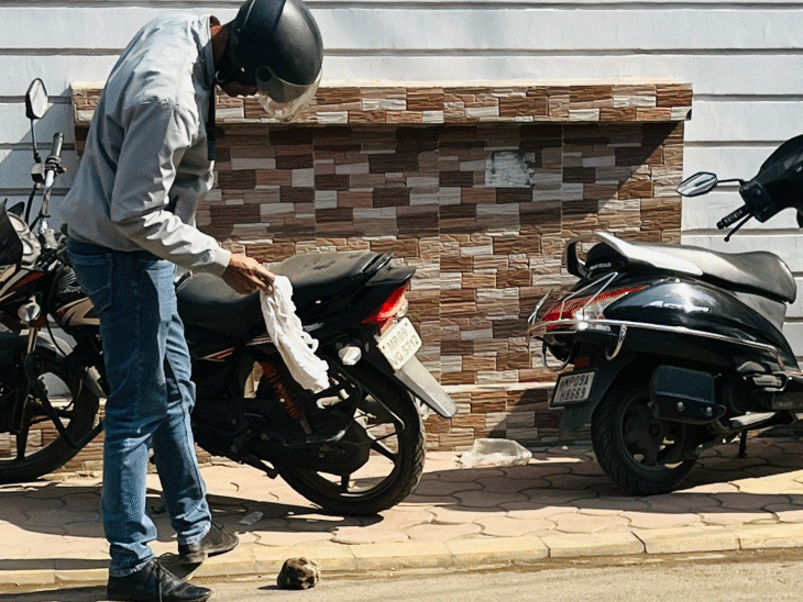 इसी पागल कुत्ते के काटने से कई लोग घायल हो गए हैं।