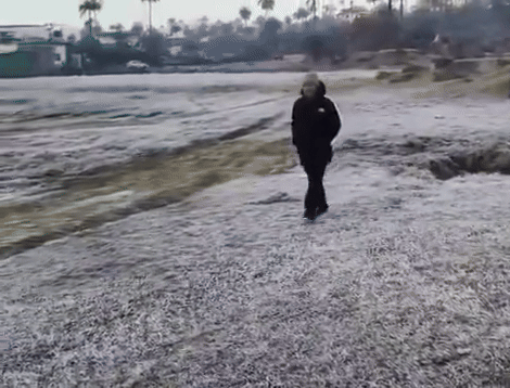 राजस्थान के माउंट आबू में रविवार सुबह खेतों में ओस जमी दिखी।