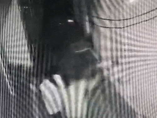 दौड़ा-दौड़ाकर आरोपियों ने चाकू मारा। वारदात वहां लगे सीसीटीवी में कैद हो गई।