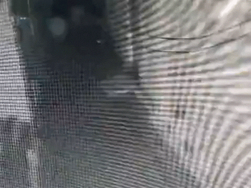 वारदात के बाद सभी आरोपी मौके से भागने के दौरान सीसीटीवी में कैद हो गए।