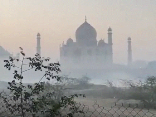 उत्तर प्रदेश के आगरा में ताजमहल के पास घना कोहरा दिखा।