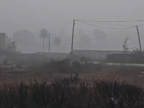 ठंड का असर जनजीवन पर साफ दिखाई दे रहा है। सुबह और शाम के समय ठंडी हवाओं के कारण कंपकंपी महसूस की जा रही है।