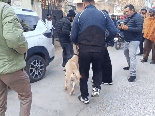 घटनास्थल पर जांच के लिए डॉग स्क्वायड की टीम भी बुलाई गई।