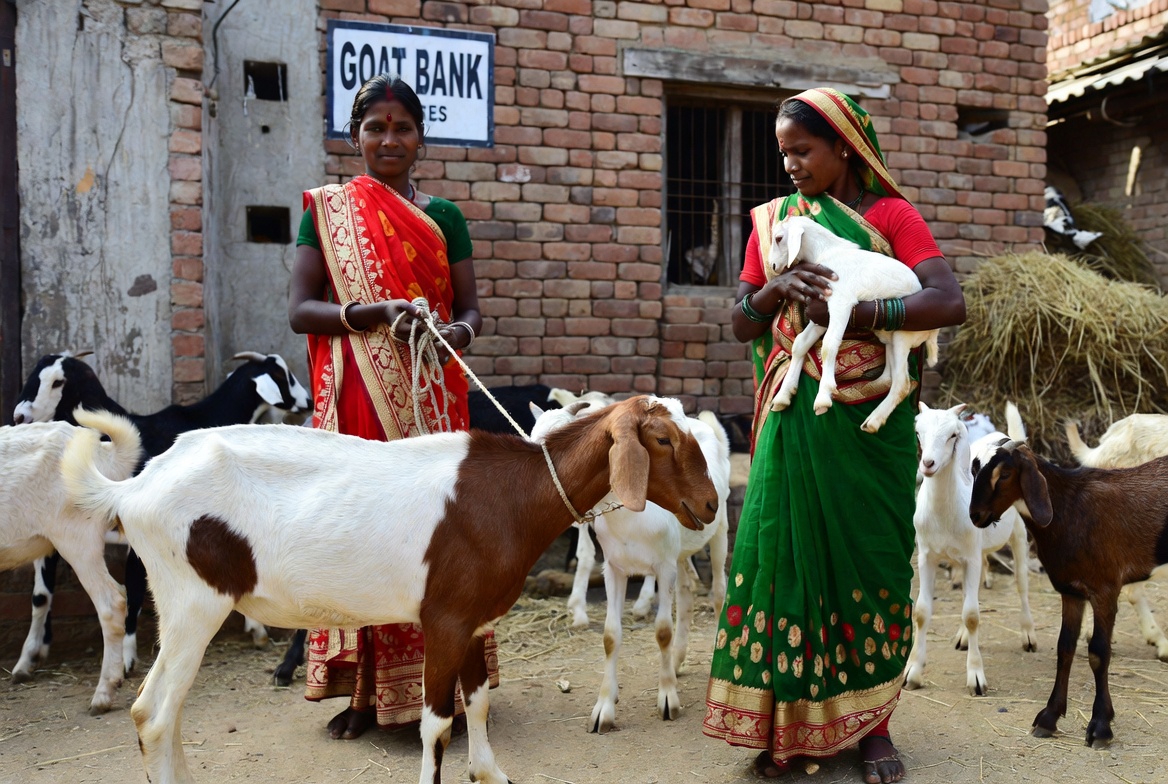 फोटो- AI जनरेटेड है।