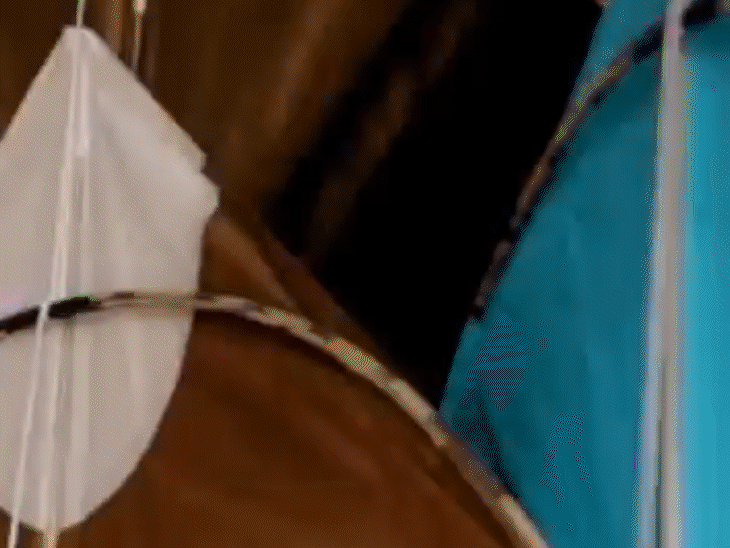 विदेशी सैलानियों को फ्री में पतंग बांटी जाएंगी साथ ही निशुल्क ऊंट की सवारी करवाई जाएगी