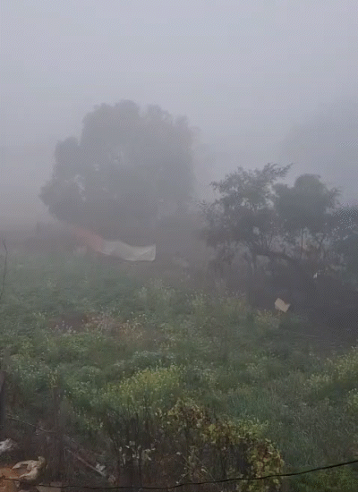 झारखंड में कड़ाके की ठंड, शीतलहर का यलो अलर्ट:  मैक्लुस्कीगंज में तापमान -1°C, 14 जनवरी तक स्कूलों में छुट्टी – Ranchi News