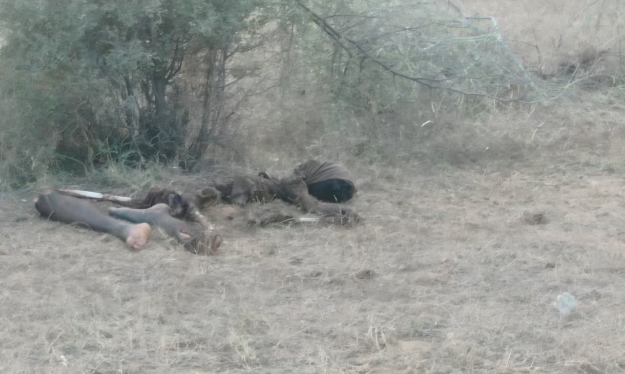 8 जनवरी को बालोतरा में युवक का कंकाल मिला था। हाथ-पैर कटे हुए थे।
