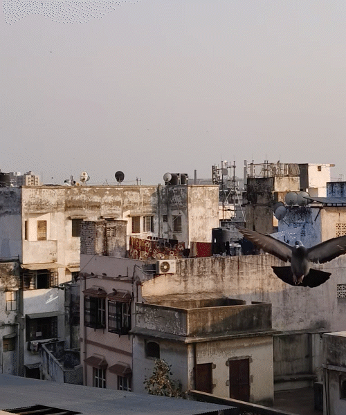 पुराने अहमदाबाद का कोट इलाका।