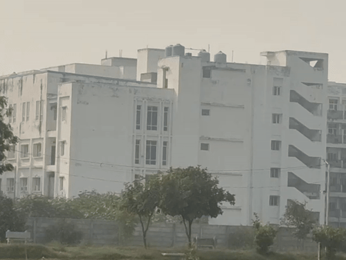 यूनिवर्सिटी में नए एडमिशन लाने के लिए प्रबंधन को काफी मशक्कत करनी पड़ रही है।