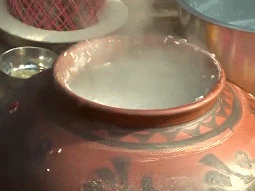 पोंगल त्योहार पर मुख्य रूप से वेन पोंगल (नमकीन) और सक्करई पोंगल (मीठा) बनाया जाता है।