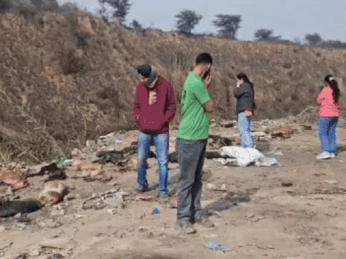 कुत्तों के शव मिलने के बाद आसपास जांच करते एनजीओ के सदस्य।