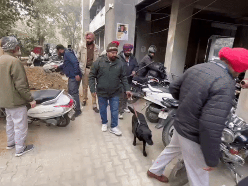 कोर्ट परिसर में जांच करती टीम।