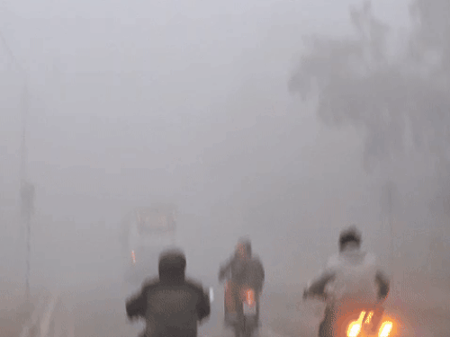 चंडीगढ़ में आज तड़के धुंध छाने से विजिबिलिटी जीरो हुई।