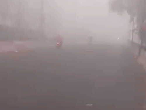 अमृतसर का इस्लामाबाद इलाका जहां घने कोहरे के चलते विजिबिलिटी काफी कम है।