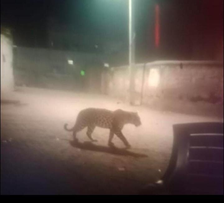 ये फुटेज धोद गांव के अंबेडकर हॉस्टल के पश्चिम क्षेत्र का बताया जा रहा है।