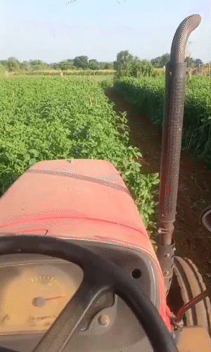 किसान दिलीप ने बताया- सात प्रक्रिया में जमीन को खेती के लिए तैयार किया जाता है।