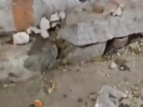 मंदिर परिसर में मूर्ति का टूटा हुआ हिस्सा मिला।