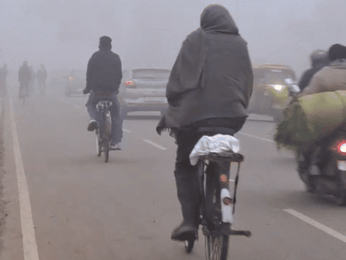Fog continued to cover Chandigarh today. Due to this, visibility also remained low.