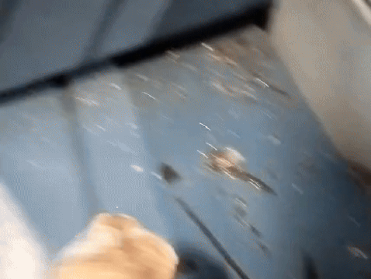 ट्रेन के एक कोच में अंदर आया पत्थर और सीट पर बिखरे खिड़की के कांच।