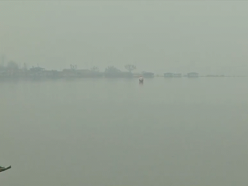 श्रीनगर में शीतलहर के कारण तज सर्दी रही वहीं कोहरा भी छाया रहा।