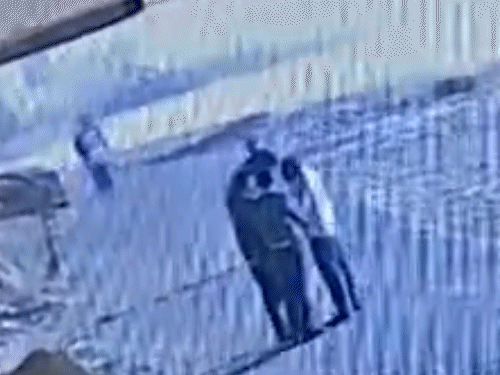 जमीन विवाद में भतीजे ने चाचा का गला काट कर हत्या कर दी। घटना का लाइव वीडियो भी सामने आया है। - Dainik Bhaskar