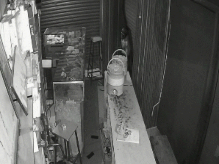 चोरी की पूरी घटना दुकान में लगे सीसीटीवी कैमरों में कैद हो गई है। फुटेज में साफ दिखाई दे रहा है कि तीन चोर सरिए की मदद से शटर तोड़कर दुकान में घुसे।