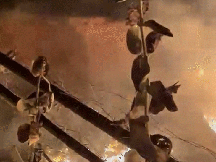 शुक्रवार सुबह करीब 4 बजे बिजली के तारों में शॉर्ट सर्किट हुआ से अचानक लगी आग ।