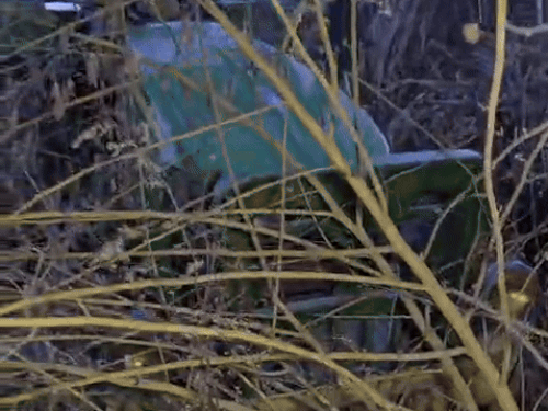 हादसे के बाद झाड़ी में घुसा ट्रैक्टर।