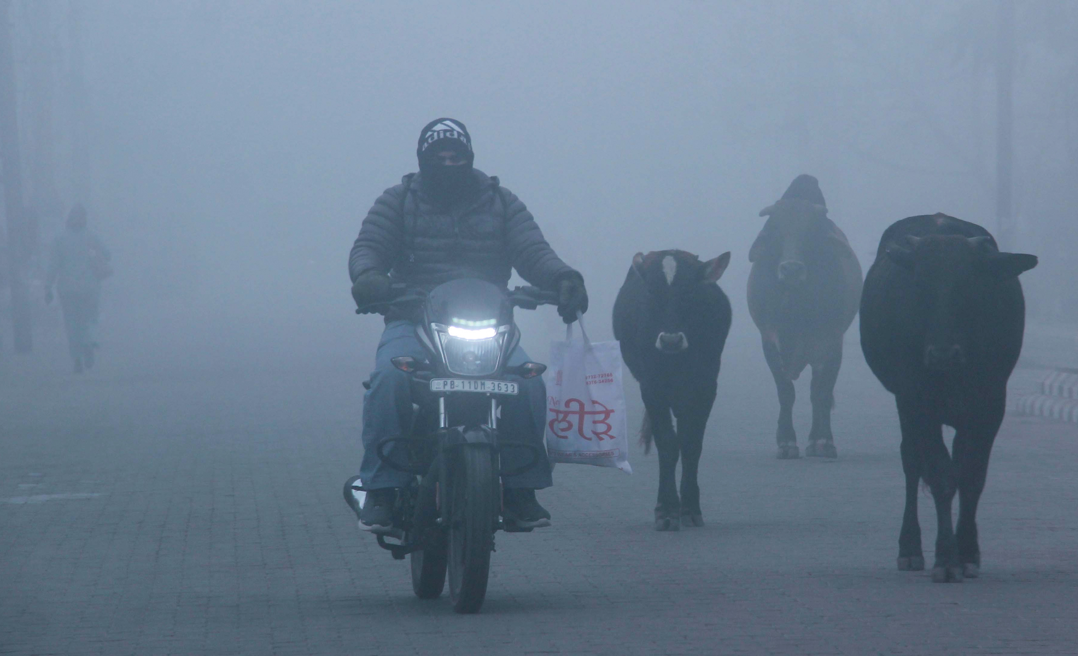 पंजाब के पटियाला में सुबह के दौरान घना कोहरा रहा।