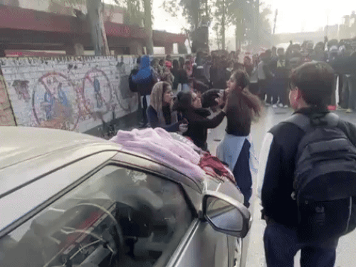 सोशल मीडिया पर वायरल वीडियो में एक दूसरे के बाल पकड़कर मारपीट करती छात्राएं।