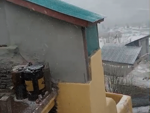 हिमाचल के मयाड़ में ताजा बर्फबारी हुई।