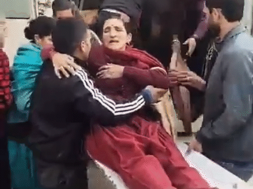 हिमाचल में सरकारी बस पलटी, 7 यात्री घायल:  ड्राइवर गंभीर, 8 लोग सवार थे, गोभड़ता से सरकाघाट जाते वक्त हादसा – Mandi (Himachal Pradesh) News