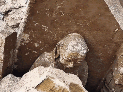 मूर्तियों की ऐसी तस्वीरें सामने आई थीं, लेकिन डीएम ने इन्हें AI जनरेटेड करार दिया था।