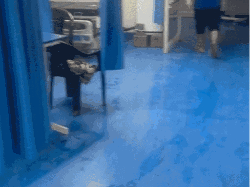 पिछले सप्ताह एसएमएस के ट्रोमा वार्ड के ICU में भी पानी भर गया था, तो मरीजों को दूसरे वार्ड में शिफ्ट करना पड़ा