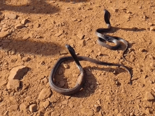 मौके पर दहशत में मौजूद लोग।