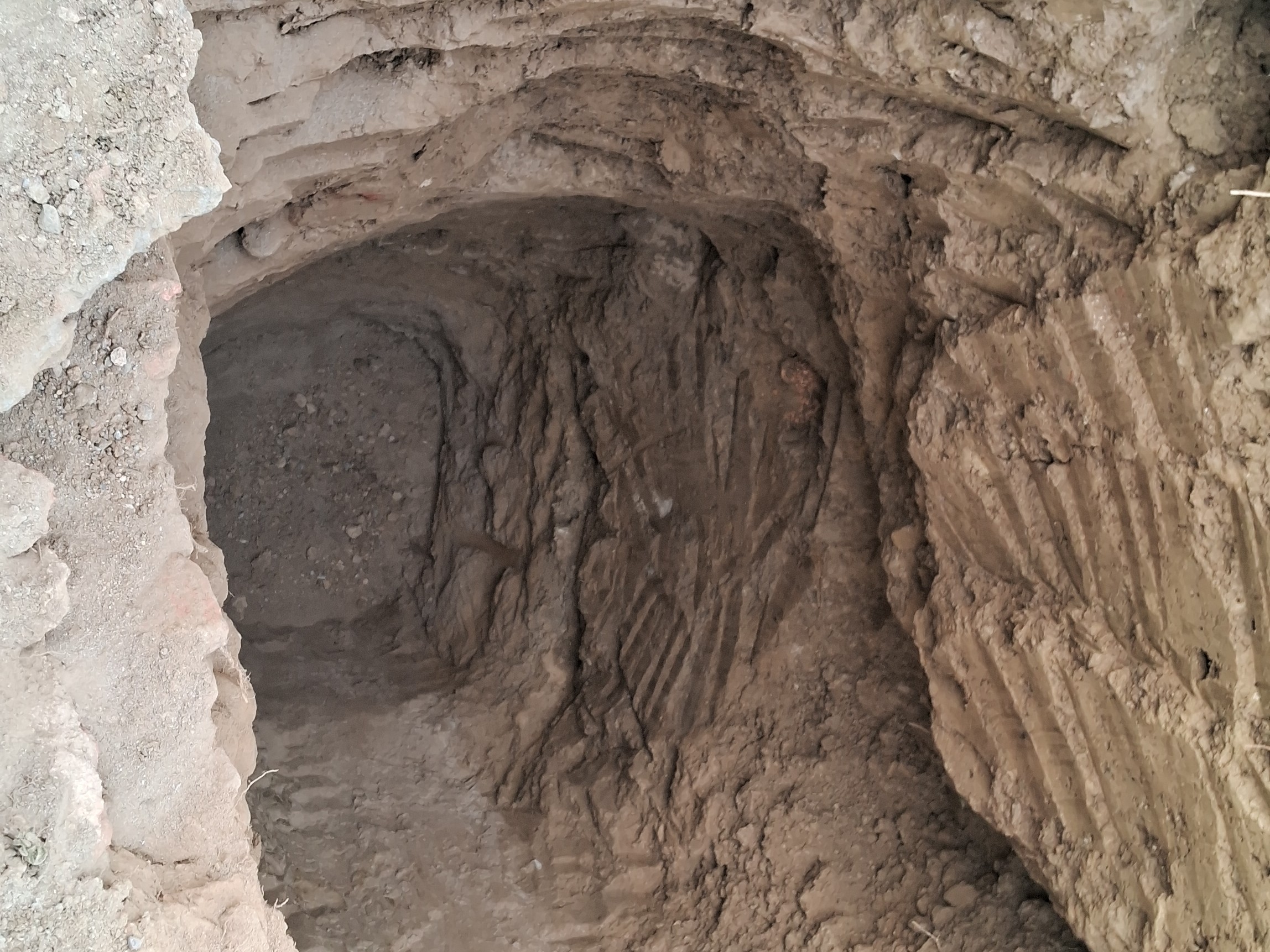 Bilsi Grave Dug Up | 150-Year-Old Tomb Unearthed; Police Investigate