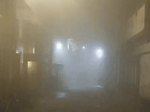 Dense fog in residential areas of Ludhiana