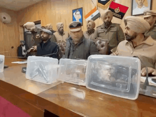 लुधियाना पुलिस द्वारा बरामद किए गए हथियार। - Dainik Bhaskar