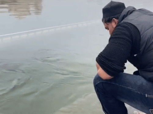 गोल्डन टेंपल के पवित्र सरोवर में मुंह में पानी लेकर वहीं थूकता मुस्लिम युवक।