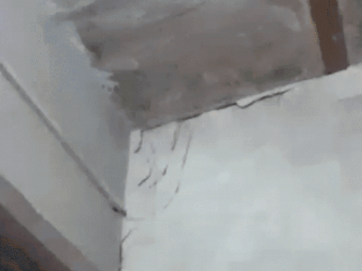 पांच माह पहले झज्जर के गांव बीड़ सुनार में 3.1 तीव्रता का भूकंप आया था। इसकी वजह से मकान की दीवारों में दरारें तक आ गईं थीं। डर के मारे लोग घरों के बाहर निकल आए थे।