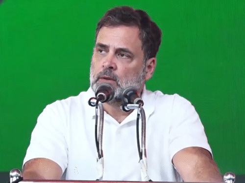 राहुल गांधी ने कोच्चि में कांग्रेस की महापंचायत में संबोधित किया। - Dainik Bhaskar