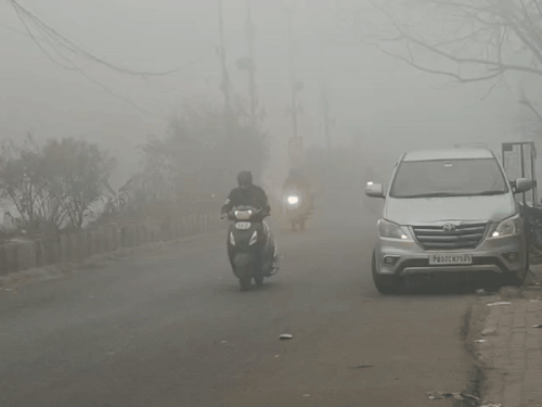 Amritsar is still foggy today. Due to this, visibility on Majitha Road is very low.