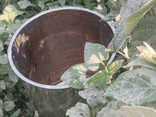 पुलिस ने हत्या वाली जगह से स्टील की टंकी बरामद की है।