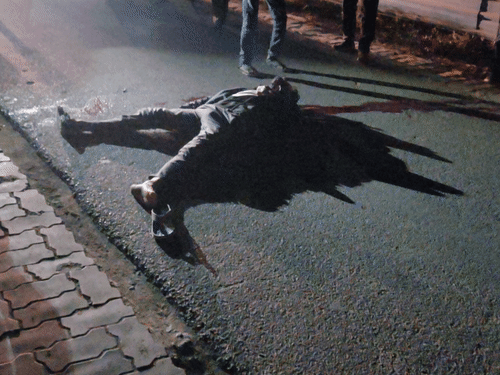 PGI इलाके में शहीद पथ पर प्रदीप की गला रेतकर हत्या कर दी गई। युवक का शव सड़क पर पड़ा मिला।