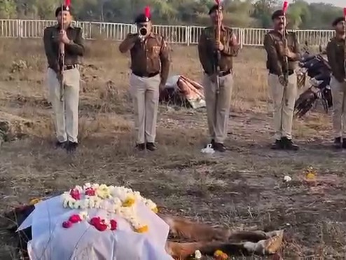 उज्जैन पुलिस के साथी ‘हीरा’ की मौत, पुलिस लाइन में दिया गार्ड ऑफ ऑनर