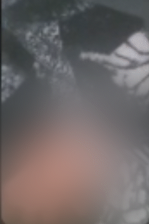 अंशिका ने पहले मैसेंजर पर मैसेज किए। लोगों को बातों में फंसाया। फिर फोन नंबर लेकर वॉट्सऐप कॉल कर न्यूड वीडियो बना लिए।